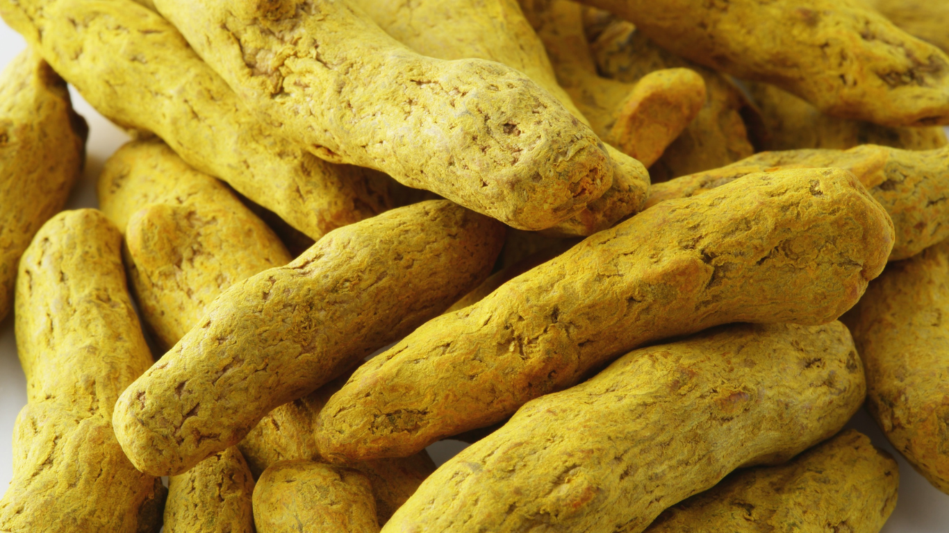 Turmeric Export from India