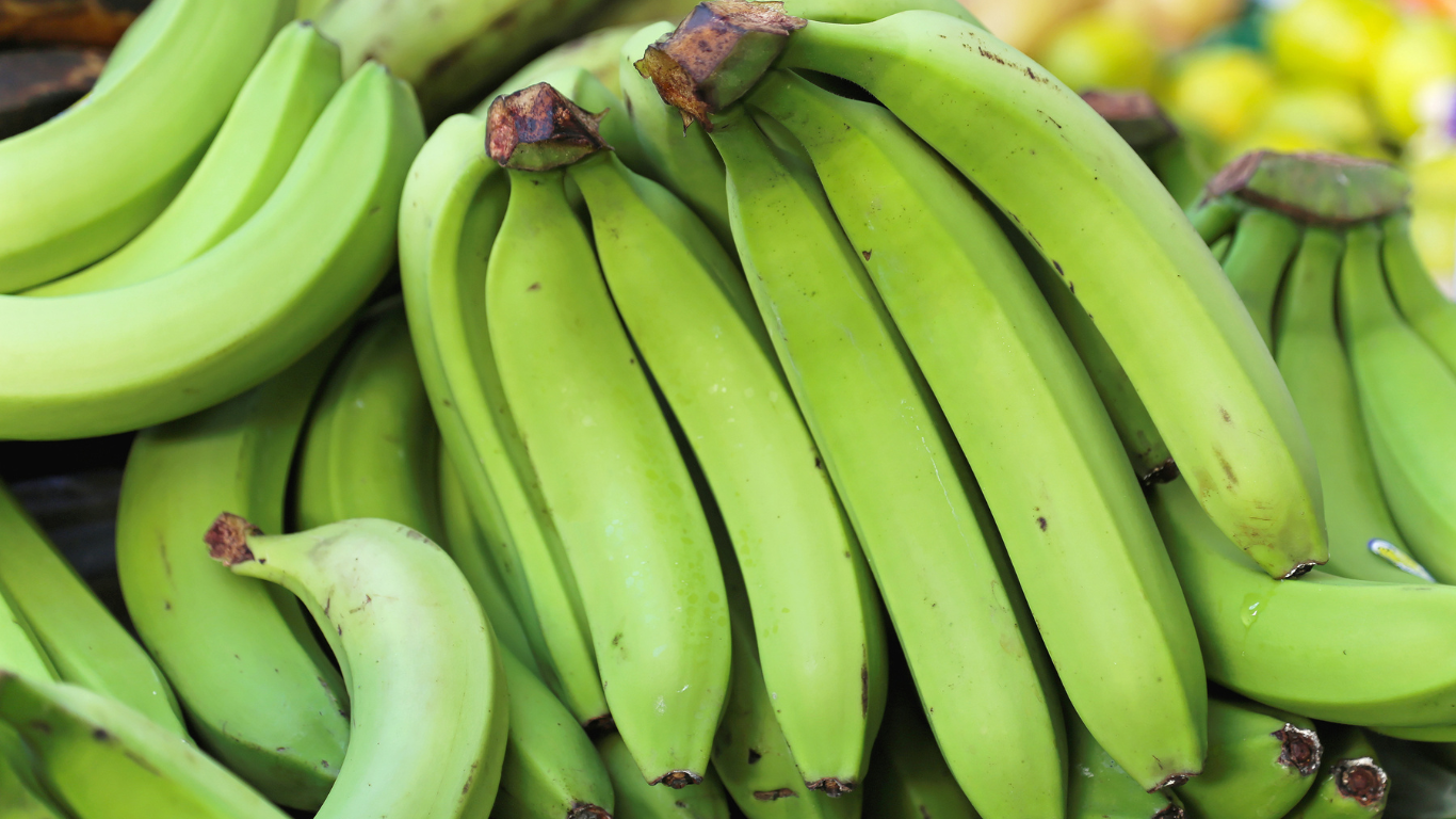 Banana Export from India