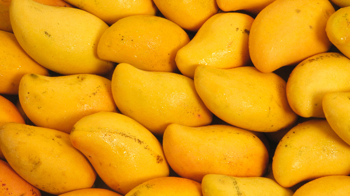 Alphonso Mango Export from India
