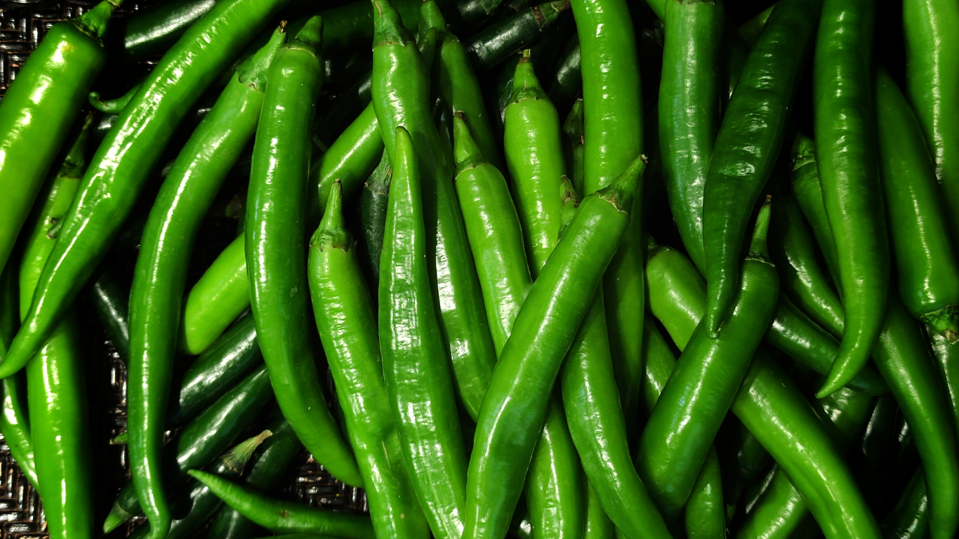 Green Chilli Export from India