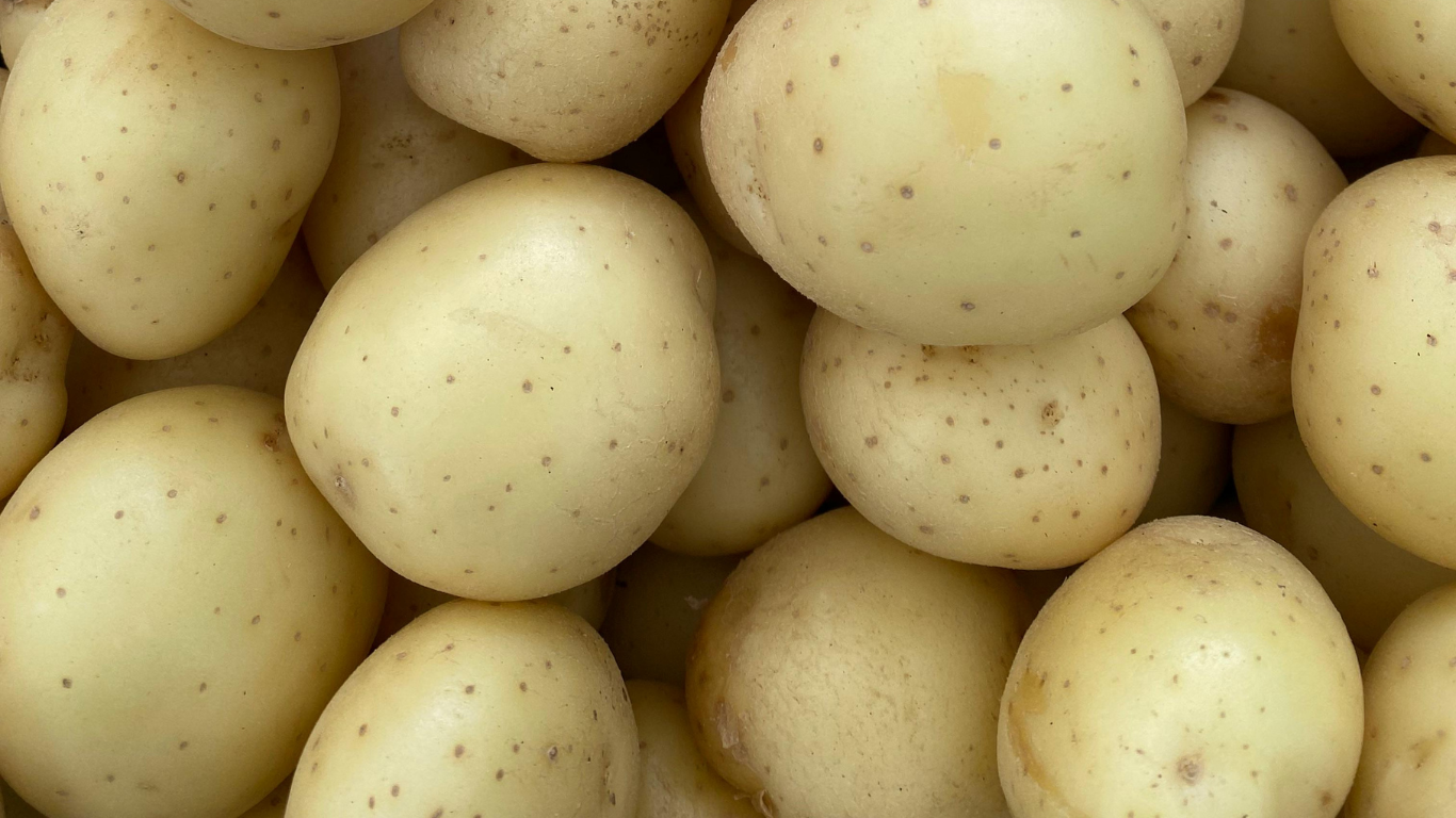 Potato Export from India